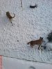 DSC00011.jpg