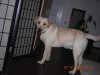 DSCN6257.jpg