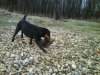 DSC00074.jpg