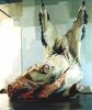 jenny_saville_torso.jpg