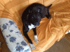 09022009071-2.gif