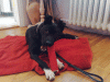 09022009082-2.gif