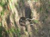 100_0017_1.JPG