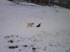 DSC00072.jpg