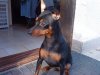 DSC00028.jpg