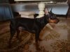 DSC00032.jpg