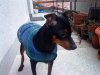 DSC00039.jpg