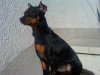 DSC00008.jpg