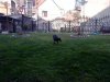 DSC00013.jpg