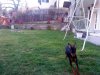 DSC00018.jpg