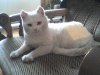 DSC00597.JPG