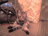 DSC00628.JPG