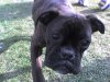 DSC00785.JPG