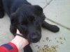 DSC00021.jpg