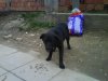 DSC00024.jpg