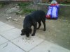 DSC00023.jpg