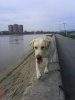 DSC05865.jpg