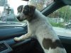 DSC00648.jpg