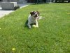 DSC00677.jpeg