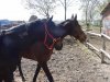 DSC00559.jpg