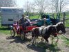 DSC00617.jpg