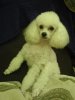 DSC01128.jpg