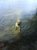 DSC05888.jpg