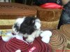 DSC00138.jpg