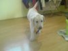 DSC00841.jpg