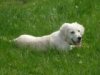 DSC05199.jpg