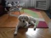 DSC05174.jpg