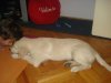 DSC05250.JPG
