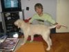 DSC05253.JPG