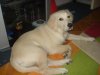 DSC05256.JPG