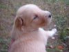 Picture 003.jpg