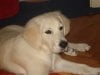 DSC05266 1.jpg