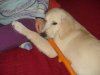 DSC05270 1.jpg