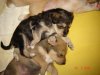 Picture 012.jpg