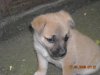 DSCN1515.jpg