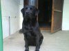 DSC00001.jpg
