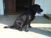 DSC00063.jpg