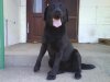 DSC00026.jpg