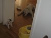 Picture 016.jpg