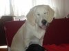 DSC05322.jpg