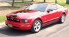 mustang2.jpg