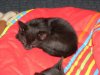 Picture 015.jpg