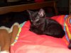 Picture 018.jpg