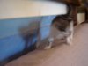DSC07946.jpg