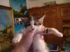 DSC07954.jpg