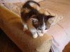 DSC07943.jpg